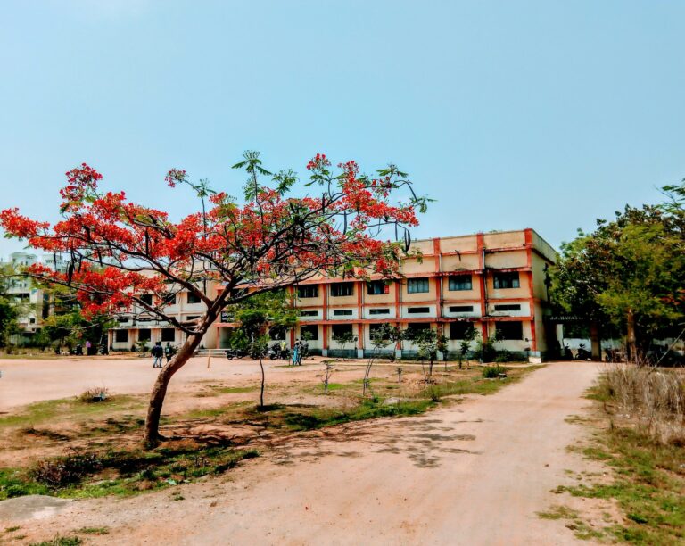 Andhra Pradesh PPP colleges